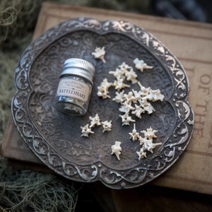 Vértebras de serpiente de cascabel – Suministro de hechizos de magia ósea