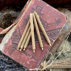 May include: A stack of six brown incense sticks with a rough texture, resting on an old, red book with gold lettering that reads "Stories by Martha Finley".