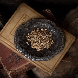 1 oz. Organic MILK THISTLE Seed whole loose herb witch dried herb Silybum marianum herb witch apothecary herbiary herbalism