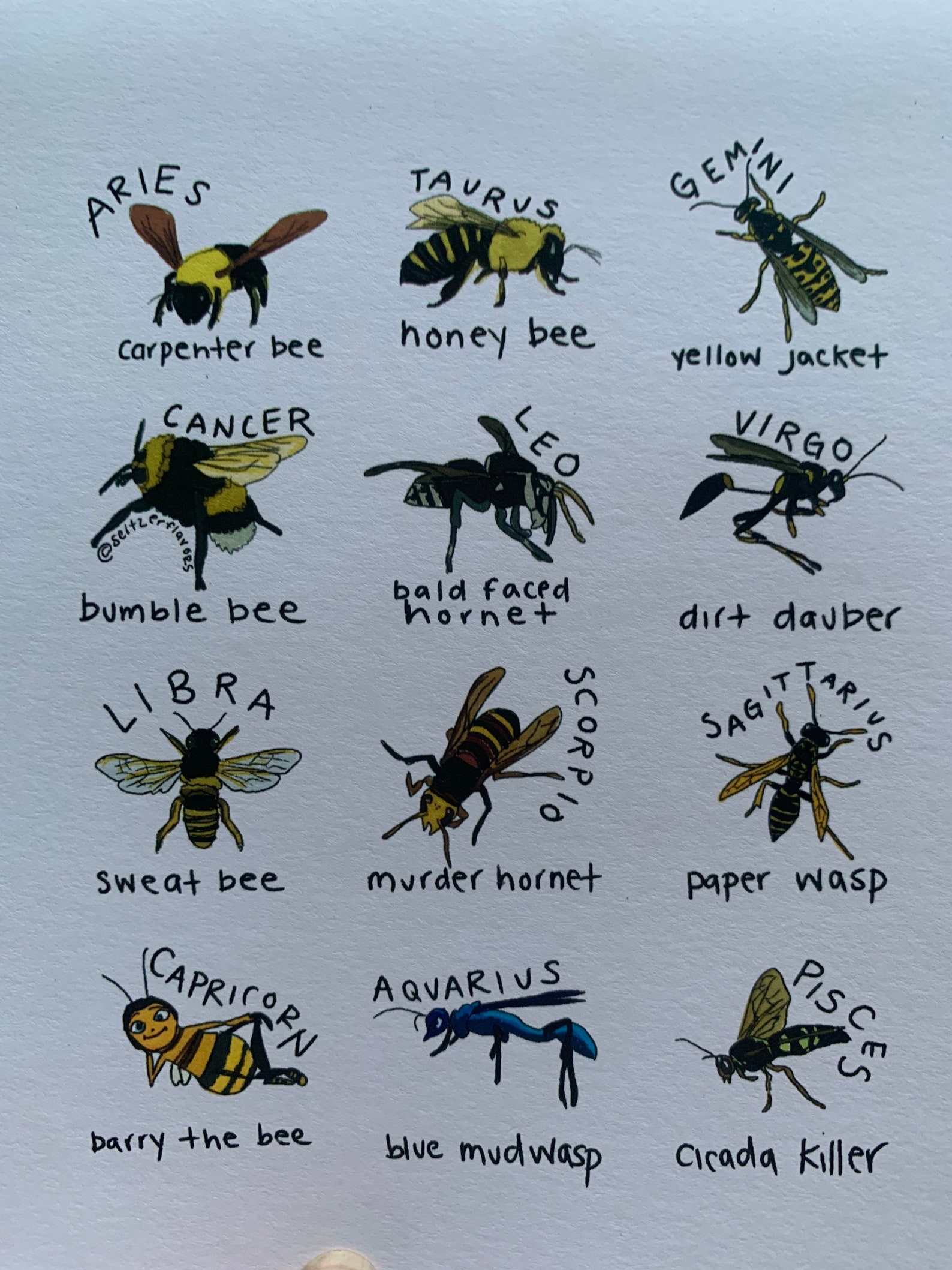 Bee zodiac print by seltzerflavors Etsy