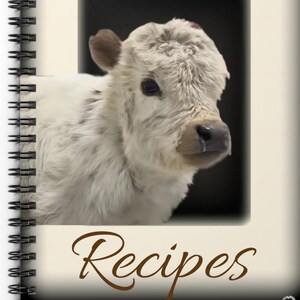 Gorgeous FAV Recipes 6&quot; x 8&quot; Vintage Look Label Spiral Notebook 11women EXCLUSIVE Abstract Blank Recipe book Shumway Stunning Vibrant Vivid