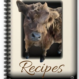 Gorgeous FAV Recipes 6&quot; x 8&quot; Vintage Look Label Spiral Notebook 11women EXCLUSIVE Abstract Blank Recipe book Shumway Stunning Vibrant Vivid