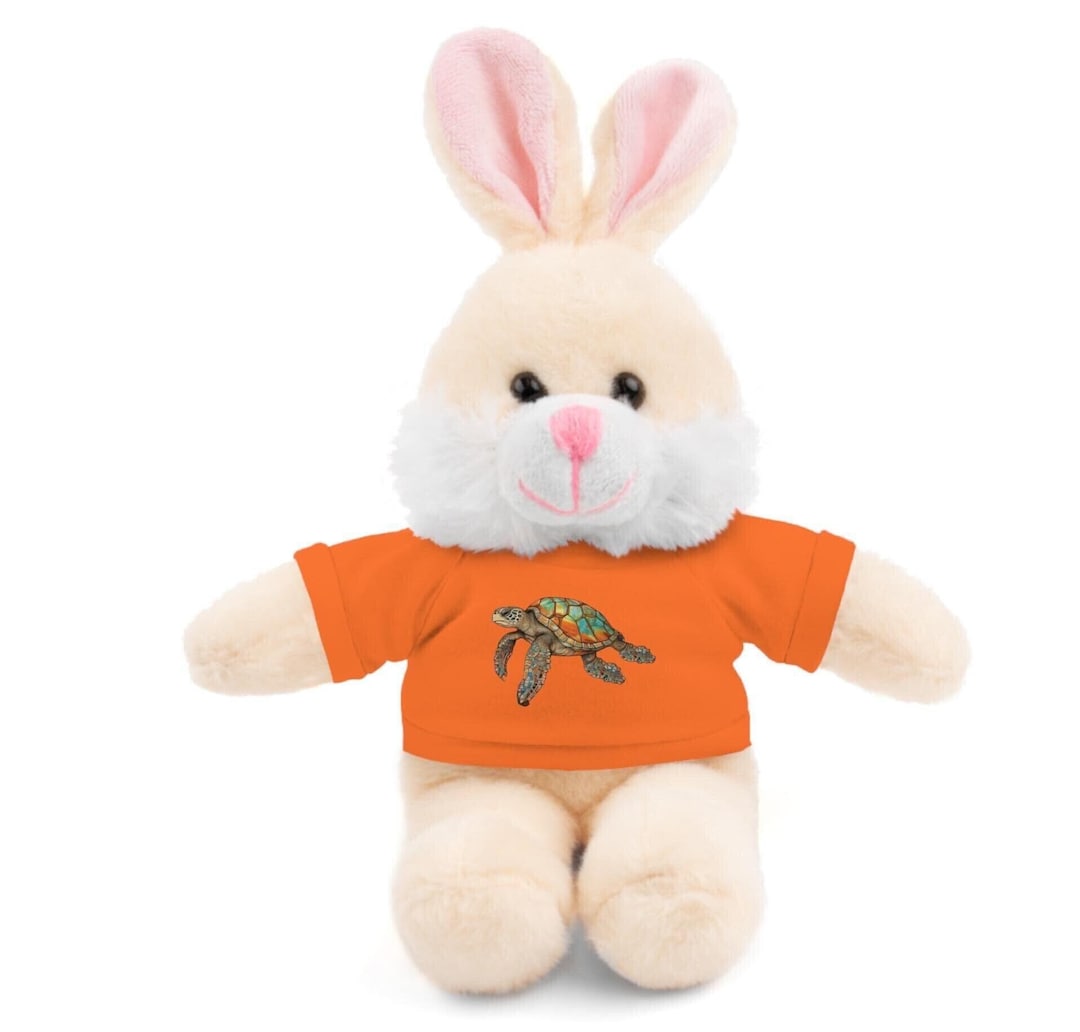 Turtle Rabbit Teddy Teddy Valentine's Day 8