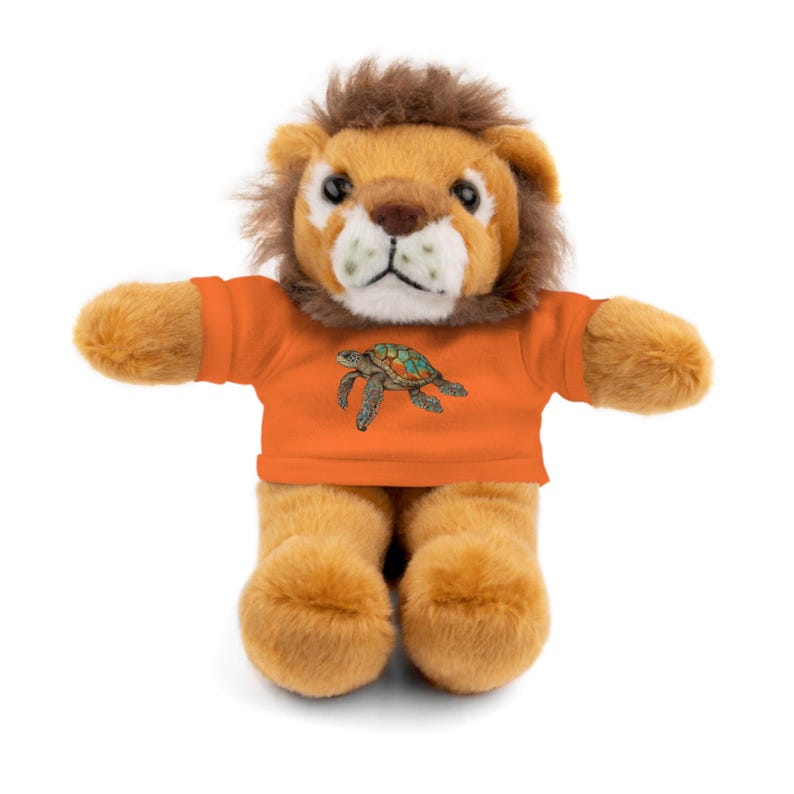 Turtle Rabbit Teddy Teddy Valentine's Day 8