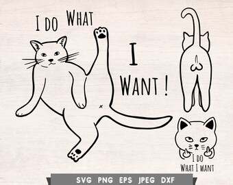 Free Free 120 Cat Giving Middle Finger Svg SVG PNG EPS DXF File