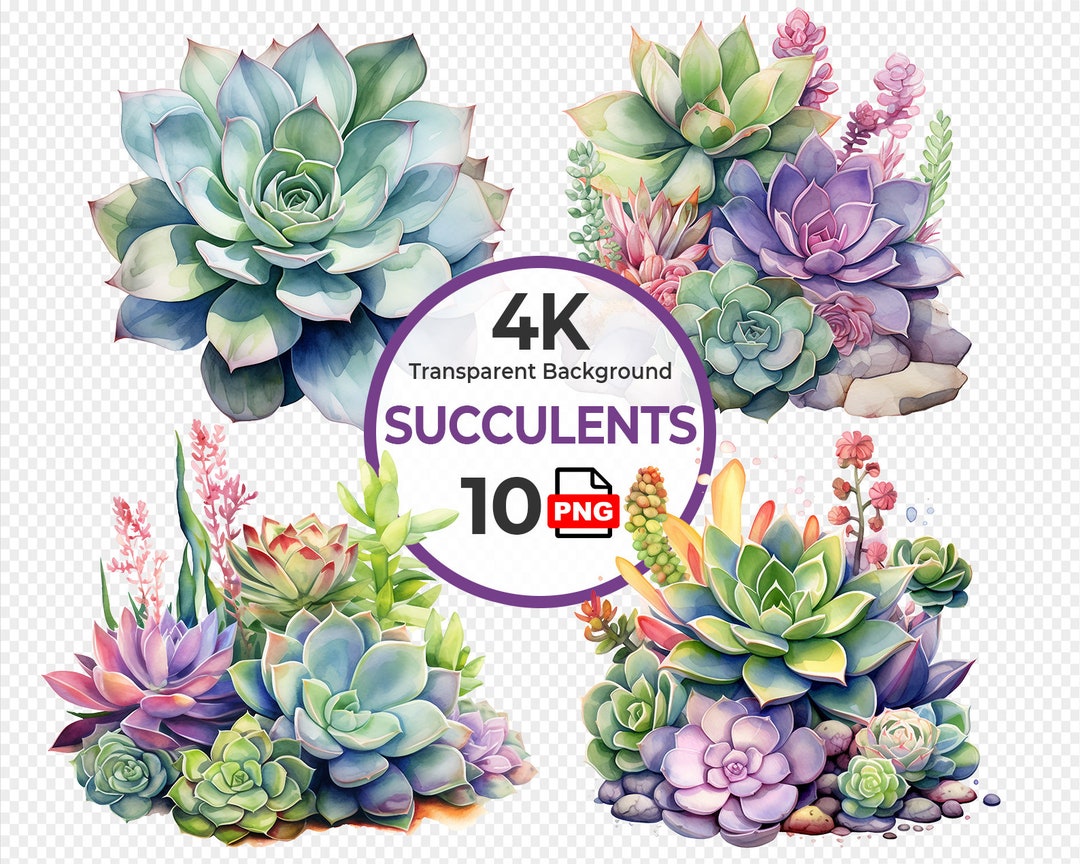 Assorted Succulents Watercolor Clipart 10 of 4K High-quality PNG for ...