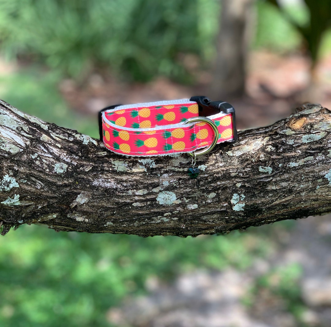 Pineapple Dog Collar Etsy