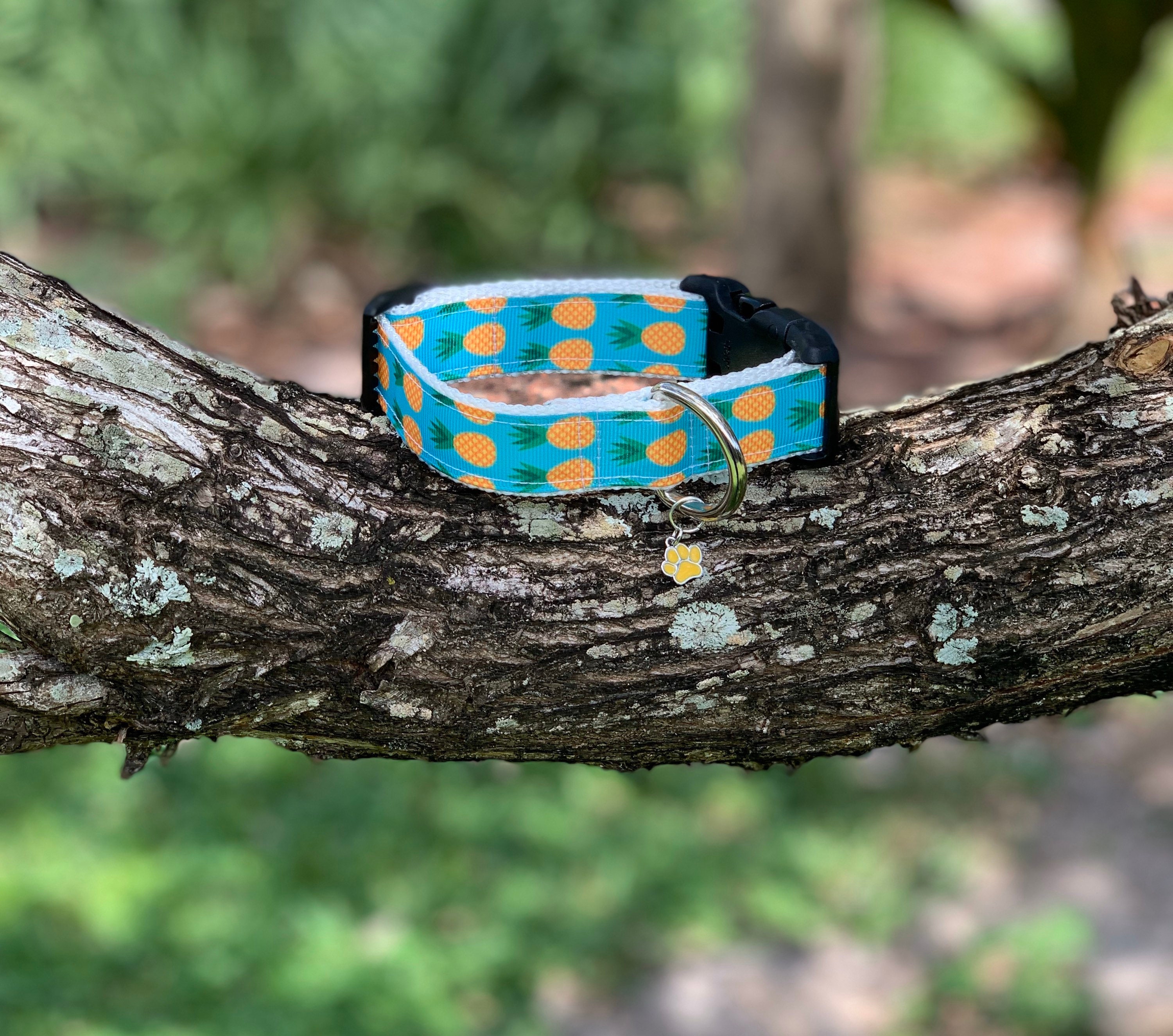 Pineapple Dog Collar Etsy