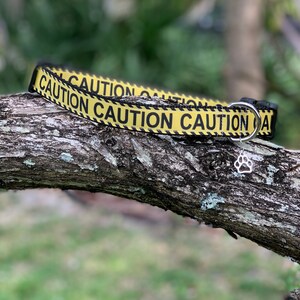 Caution Dog Collar