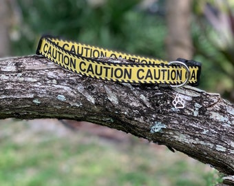 Caution Dog Collar