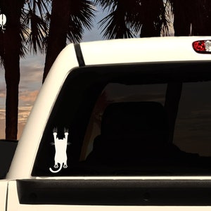 K&ouml;nnte beinhalten: Wei&szlig;er Vinyl-Aufkleber eines Katers, der kopf&uuml;ber an einem Fenster h&auml;ngt, mit seinen Krallen sichtbar. Der Aufkleber befindet sich an der Heckscheibe eines wei&szlig;en Pick-up-Trucks.