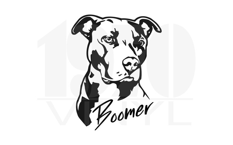 May include: Black and white silhouette of a Pit Bull dog's head with the name "Boomer" written underneath.