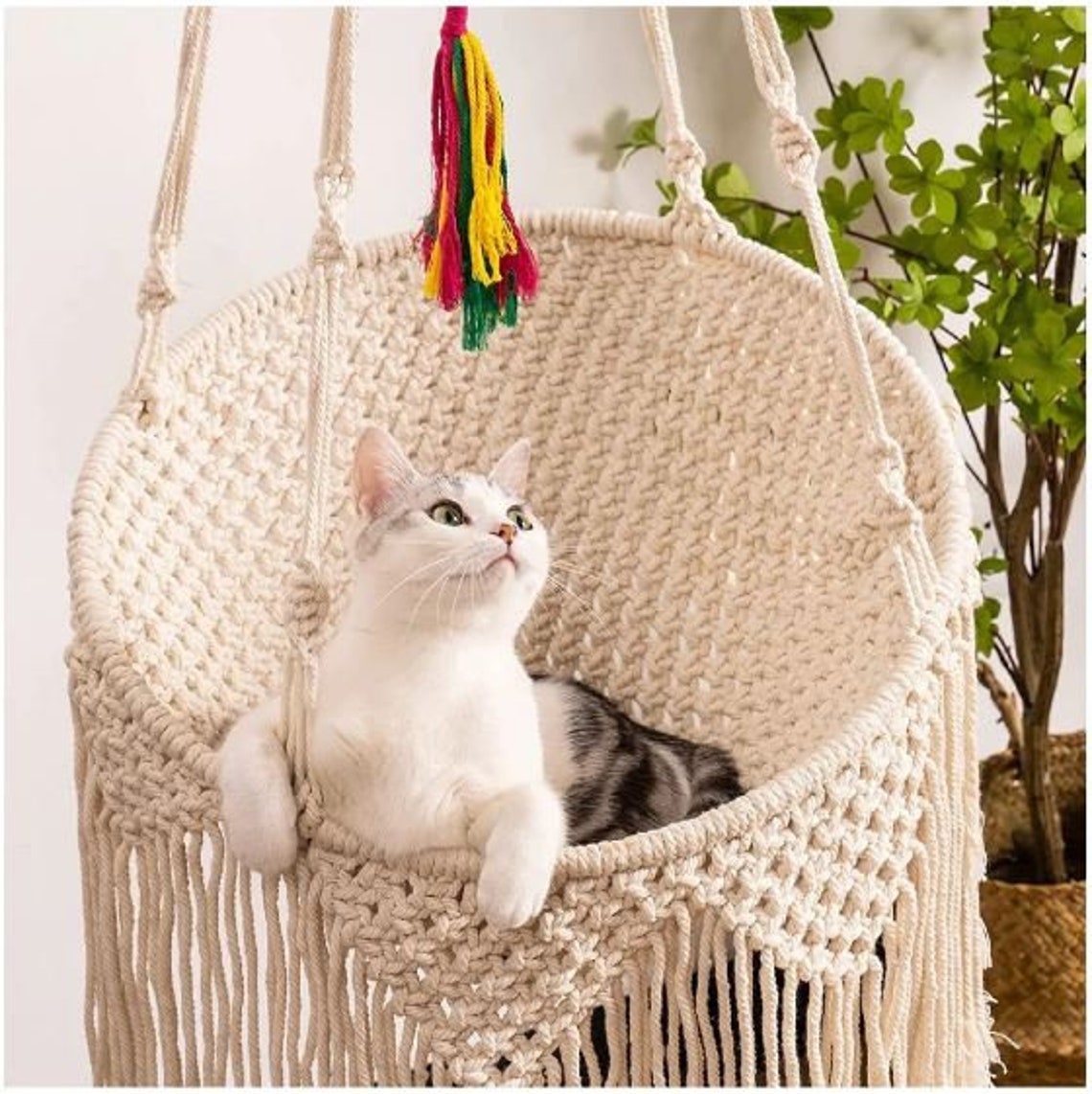 Handmade Macrame Cat Cat Bed Macrame Cat Hammock Dog Bed Etsy