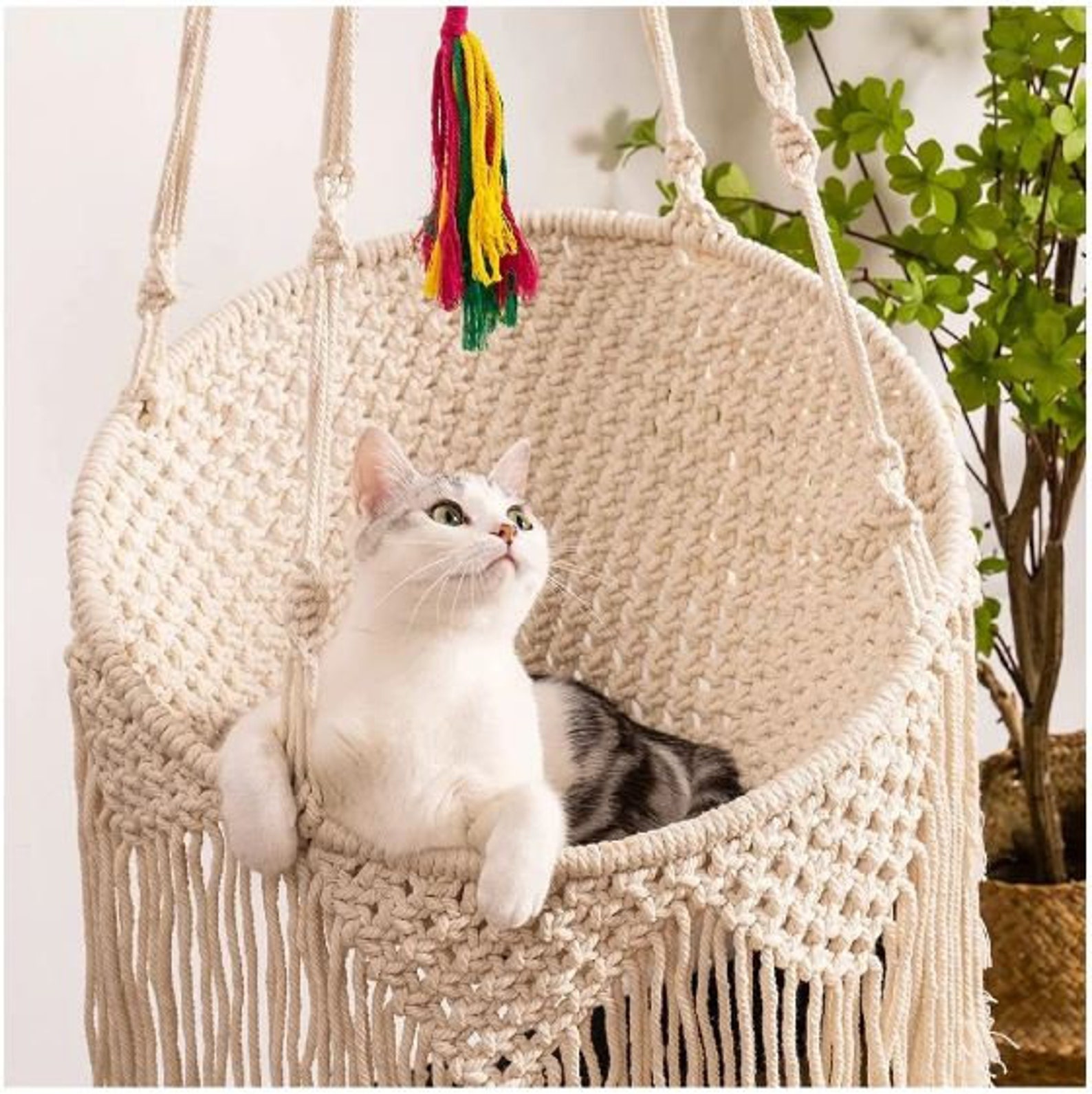 Handmade Macrame Cat Cat Bed Macrame Cat Hammock Dog Bed Etsy