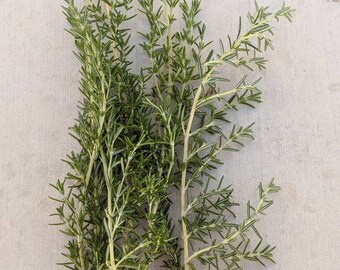 Rosemary Sprigs