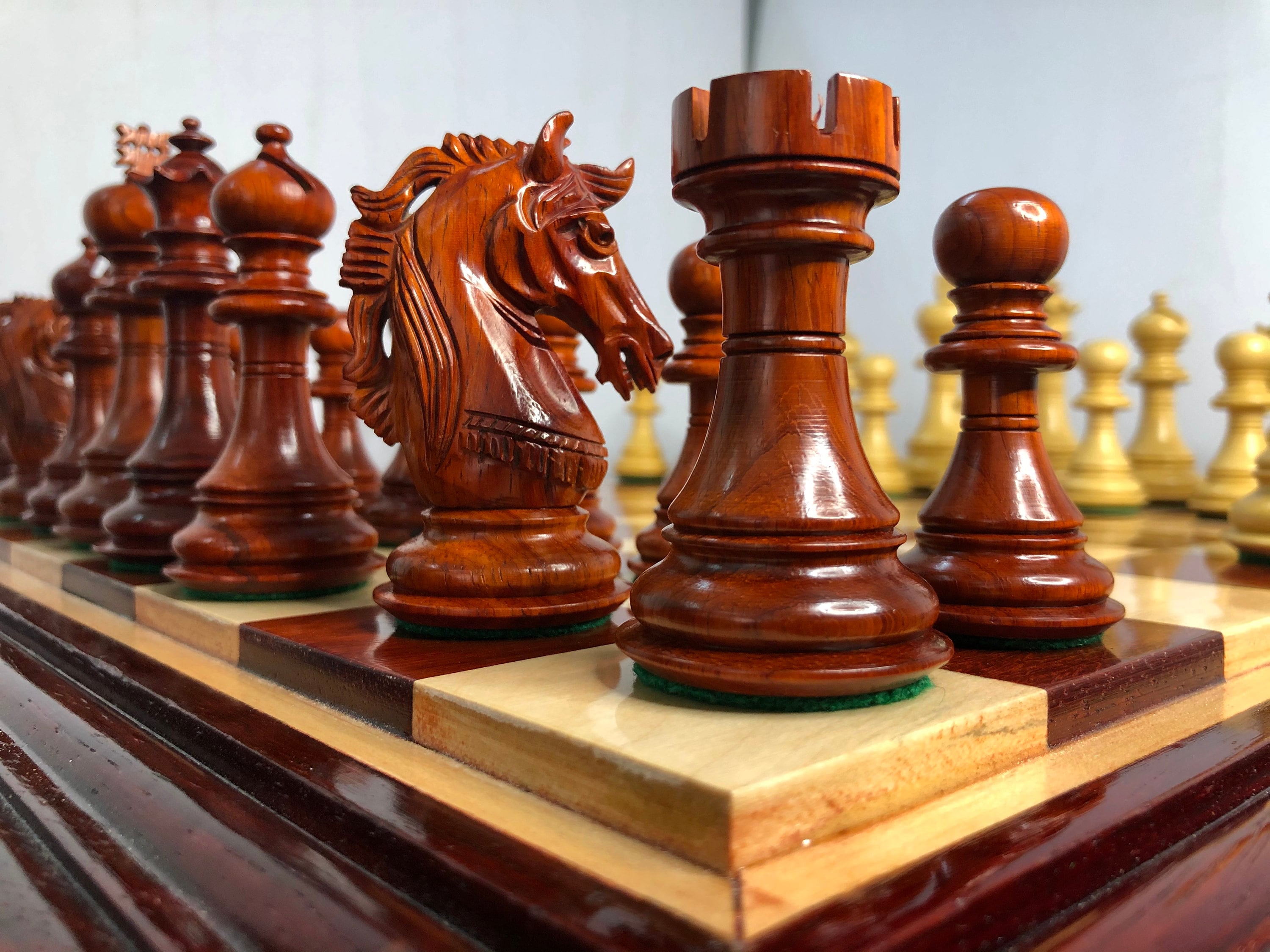 VENEZIA - 51 cm Root of Elm Glossy Luxury Chess Board