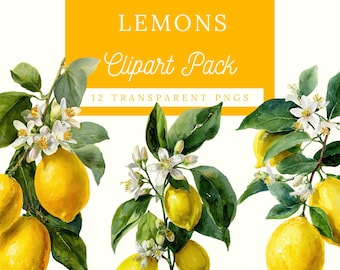 Watercolor Lemon and Citrus Blossom Clipart PNG | Stickers, Journals, Crafts and Sublimation | Digital Download | Commercial Use