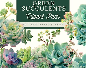 Watercolor Succulents Clipart| Green Cactus| House Plants| Commercial Use Graphics| Green Succulents Transparent PNG| Printable Digital Pack