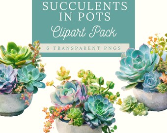 Watercolor Succulents Clipart | Green Cactus PNG Graphics (Commercial Use)