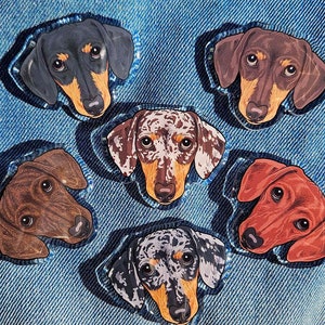 May include: Six dachshund dog faces on a blue denim background. The dogs are all different colours and patterns, including black and tan, brown and tan, brindle, and black and white.