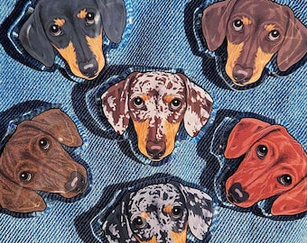 Dachshund acrylic pins black tan brindle red dapple short hair