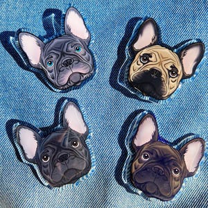 Insignias acrílicas de bulldog francés gris lila bronceado leonado atigrado negro Frenchie
