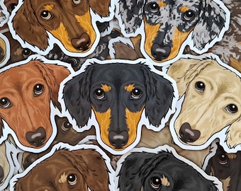 May include: A collection of colourful dachshund dog stickers. The stickers feature various dachshund breeds in different poses and colours, including black and tan, brown, and cream.