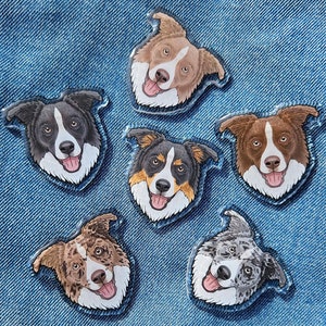 May include: Six colourful border collie dog head stickers on a blue denim background. The stickers are all different colours and have different expressions.