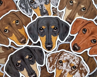 May include: A collection of colourful dachshund dog stickers. The stickers feature various dachshund breeds in different poses and colours, including black and tan, brown, and brindle.