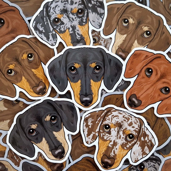 Dachshund stickers short haired Dachshund sausage dog breed decal vinyls