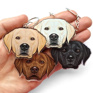 May include: Three different coloured Labrador Retriever dog keyrings. The keyrings are made of clear acrylic and feature a cartoon illustration of a Labrador Retriever's face. The keyrings are attached to silver key rings.