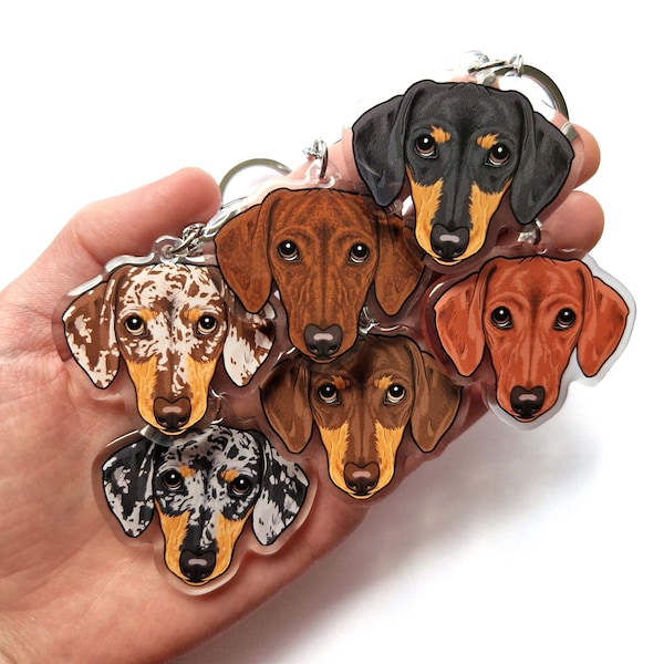 Short hair Dachshund acrylic keyrings & collar charms black tan cream brindle red dapple double sided