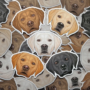 Stickers labrador chien doré noir marron blanc crème