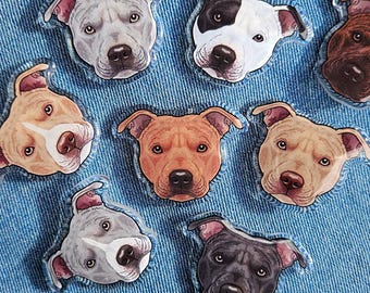 Staffordshire bull terrier acrylic pins Staffy American Pit Bull pin badge