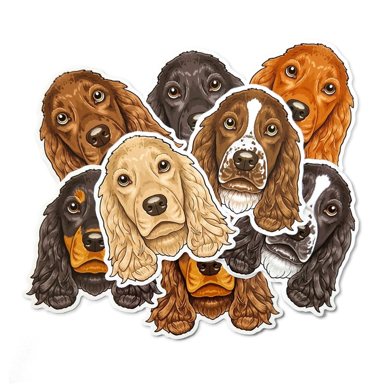 Puede incluir: Un conjunto de ocho pegatinas ilustradas de perros que representan diferentes razas de cocker spaniel. Las pegatinas son de varios colores, incluyendo marr&oacute;n, negro, blanco y dorado.