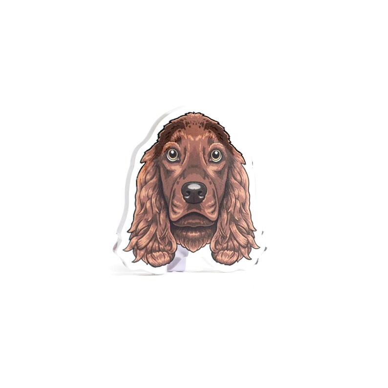 brown spaniel acrylic pin dog breed