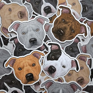 Staffordshire Bull Terrier stickers Staffy Pit Bull decal vinyls