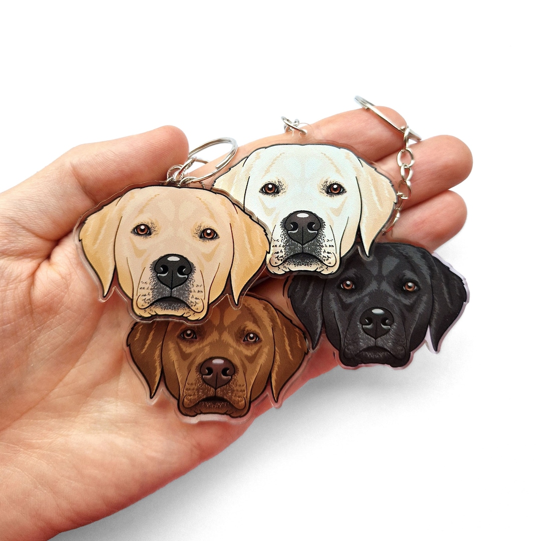 Labrador Keyrings & Dog Collar Charms Chocolate Lab Black Etsy Canada