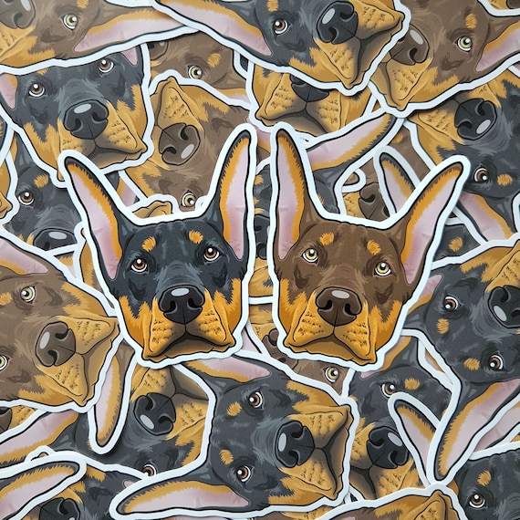 Targa Decorativa In Metallo Doberman Pinscher - 40x10 Cm, Per Interni/Esterni, Regalo Per Proprietari Di Cani - 5