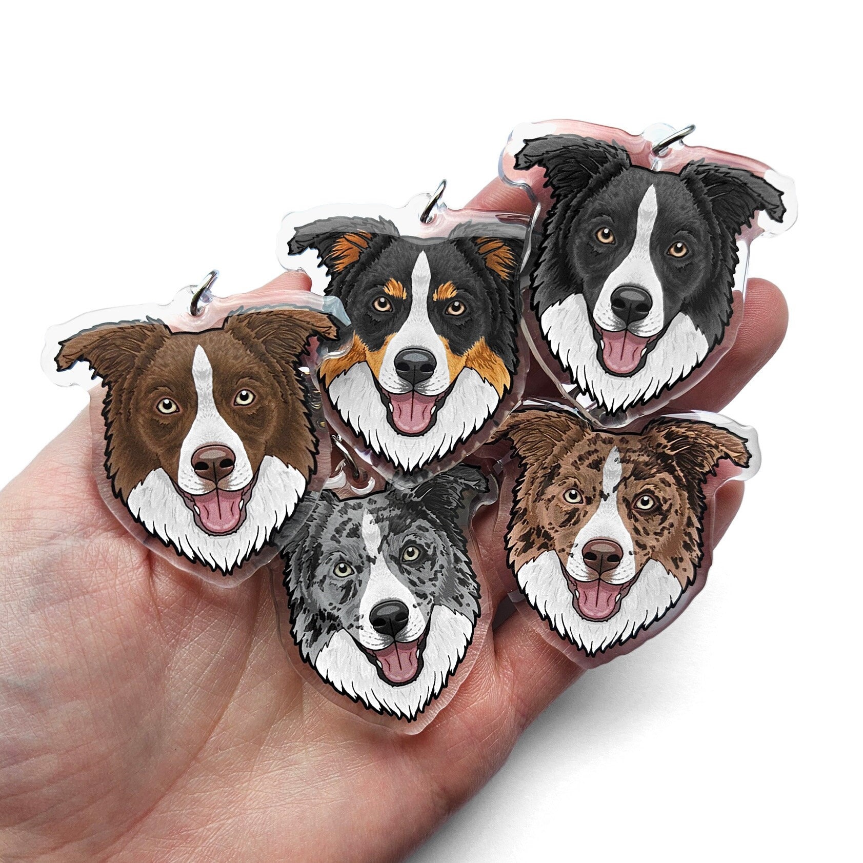 Puppy Border Collie Collar Dog Collar Seal And White Border Collie