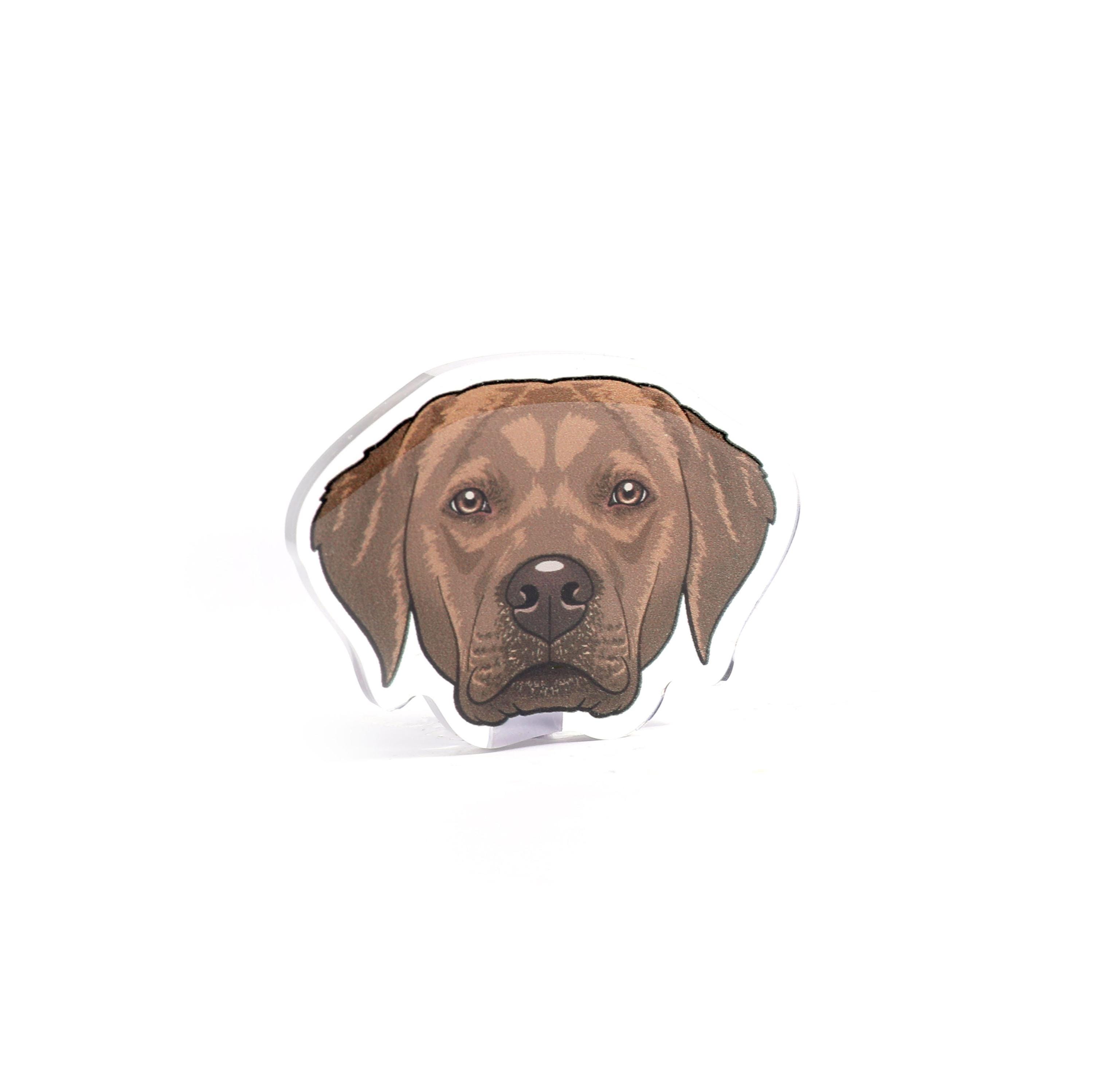 Labrador Acrylic Pins Gold White Black Chocolate Red Lab Pin - Etsy