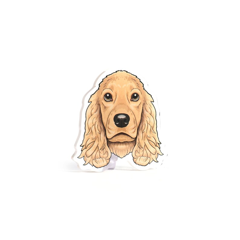 cream spaniel acrylic pin dog breed
