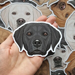 Labrador stickers golden black brown white cream dog decal BLACK