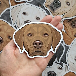 Labrador stickers golden black brown white cream dog decal BROWN / CHOCOLATE