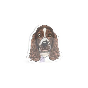 Może przedstawiać: Brązowy i biały pies rasy Springer Spaniel z długimi, zwisającymi uszami. Pies patrzy prosto w kamerę z poważnym wyrazem twarzy.