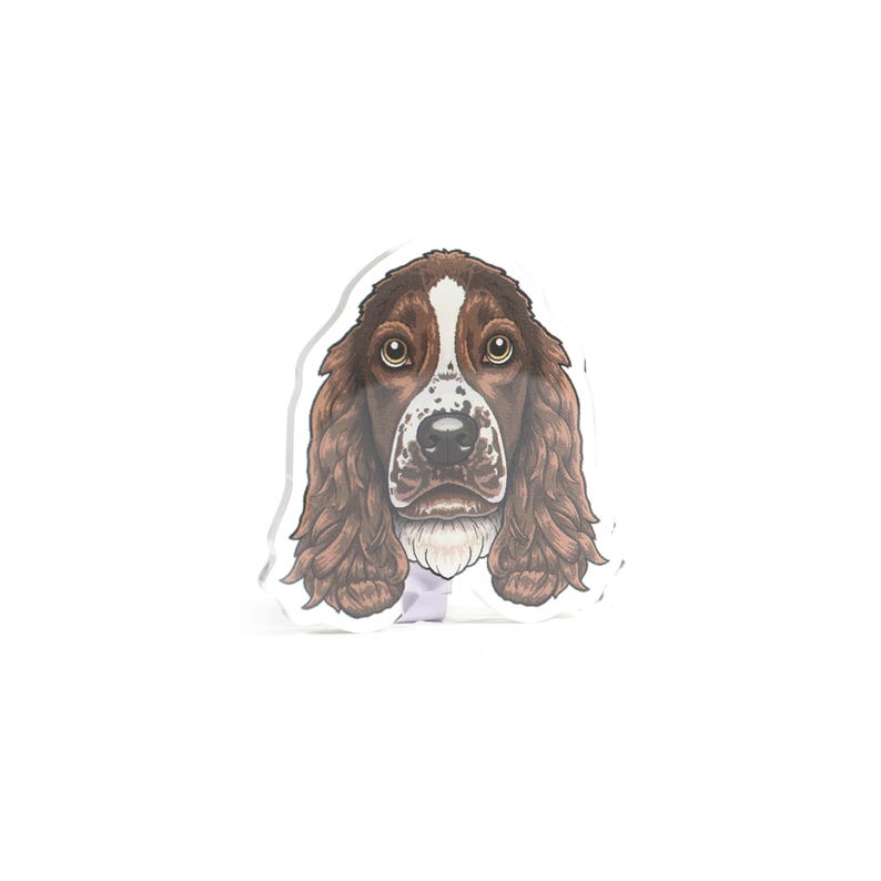 Może przedstawiać: Brązowy i biały pies rasy Springer Spaniel z długimi, zwisającymi uszami. Pies patrzy prosto w kamerę z poważnym wyrazem twarzy.