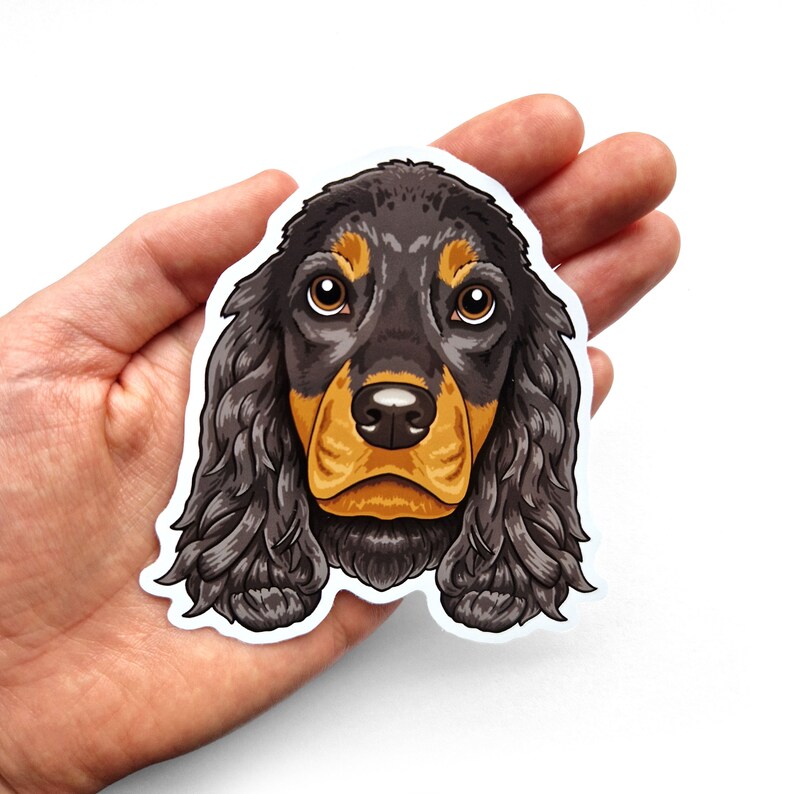 Puede incluir: Un perro Cocker Spaniel negro y fuego con pelo largo y fluido. El perro est&aacute; mirando directamente a la c&aacute;mara con una expresi&oacute;n seria.