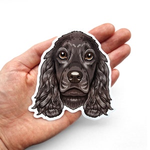 Puede incluir: Un perro cocker spaniel negro y marr&oacute;n con pelo largo y fluido. El perro est&aacute; mirando directamente a la c&aacute;mara con una expresi&oacute;n seria.