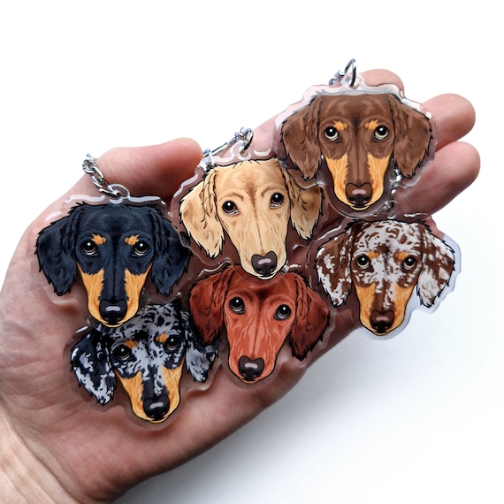 Black and tan dapple long hotsell haired dachshund
