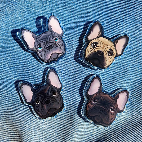 French Bulldog acrylic pin badges grey lilac tan fawn brindle black Frenchie
